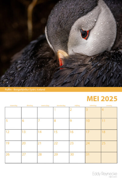 8107_hangkalender_A3.indd